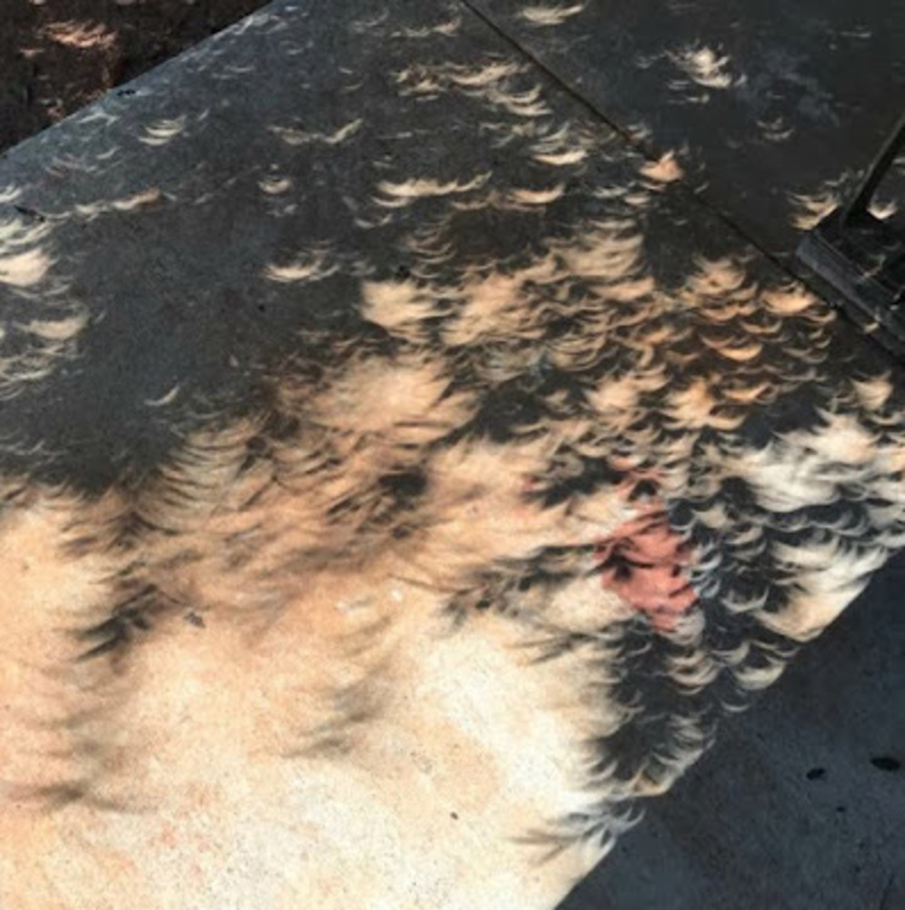 Meet your Posher, Marshan